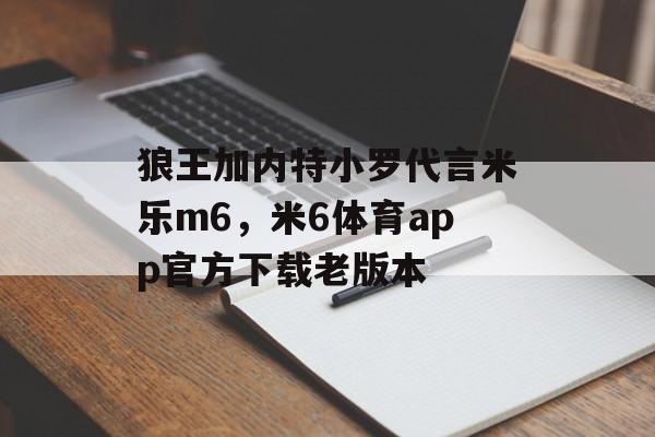 狼王加内特小罗代言米乐m6，米6体育app官方下载老版本